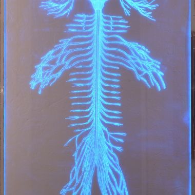 Leo Jahaan | Indirect Realism