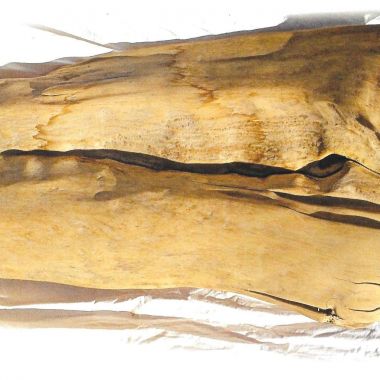 Marzia Ribechini | Pelle