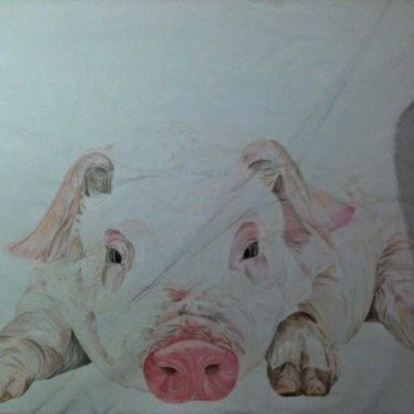 Michela Pedron | Little Pig