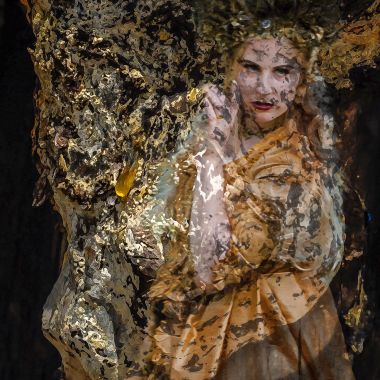 Miguel Van Der Velden | Wood Spirit