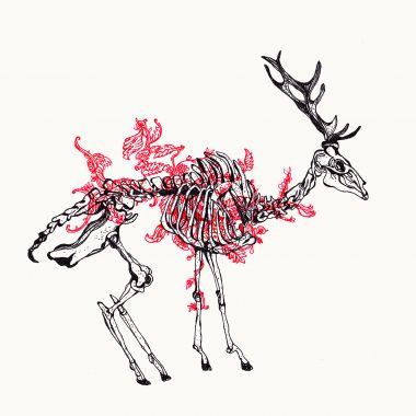 Nani Puspasari | Beauty is the result of an accident #1