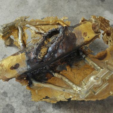 Nicolò Cecchella | Nature