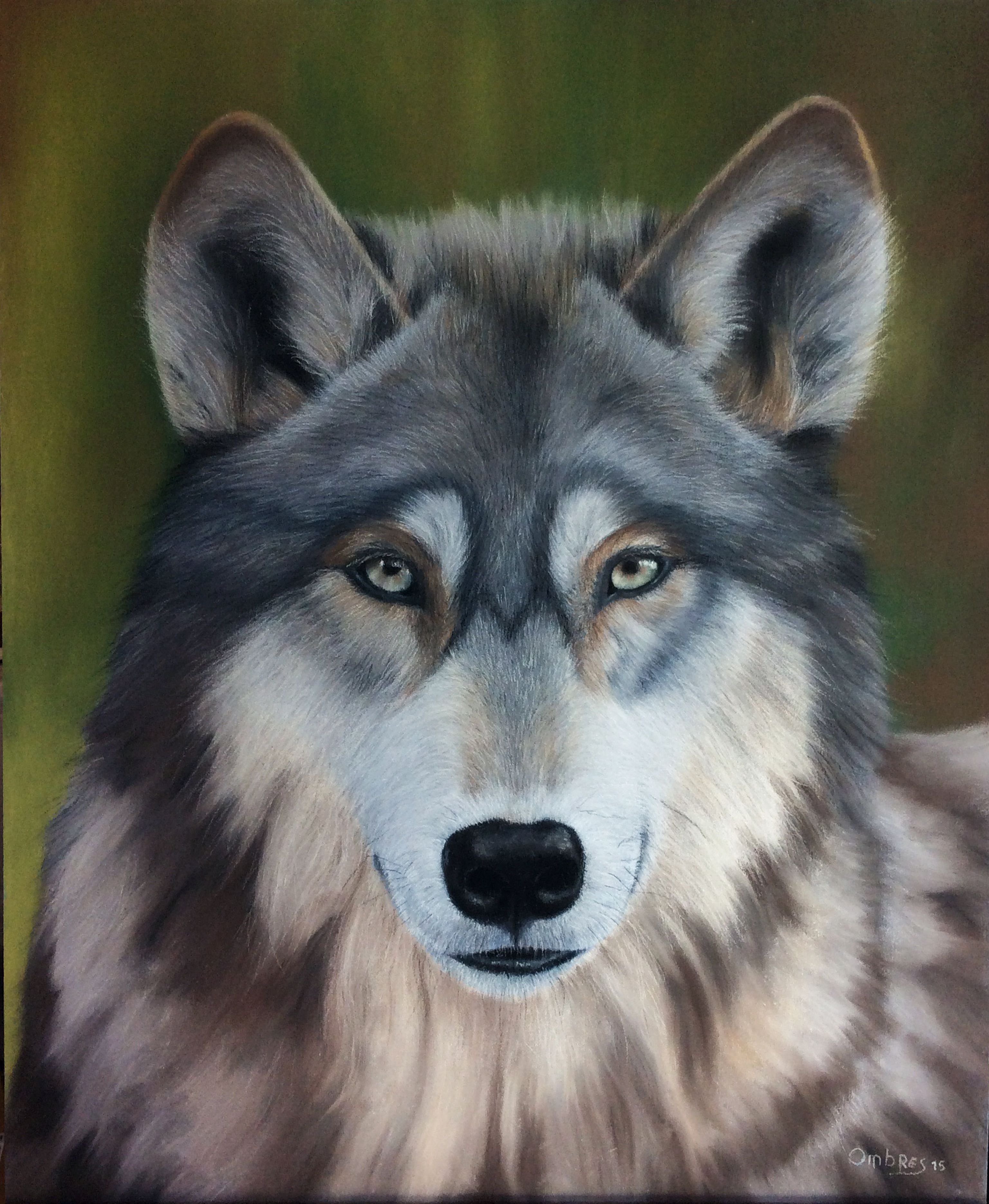 Ombres | Wolf