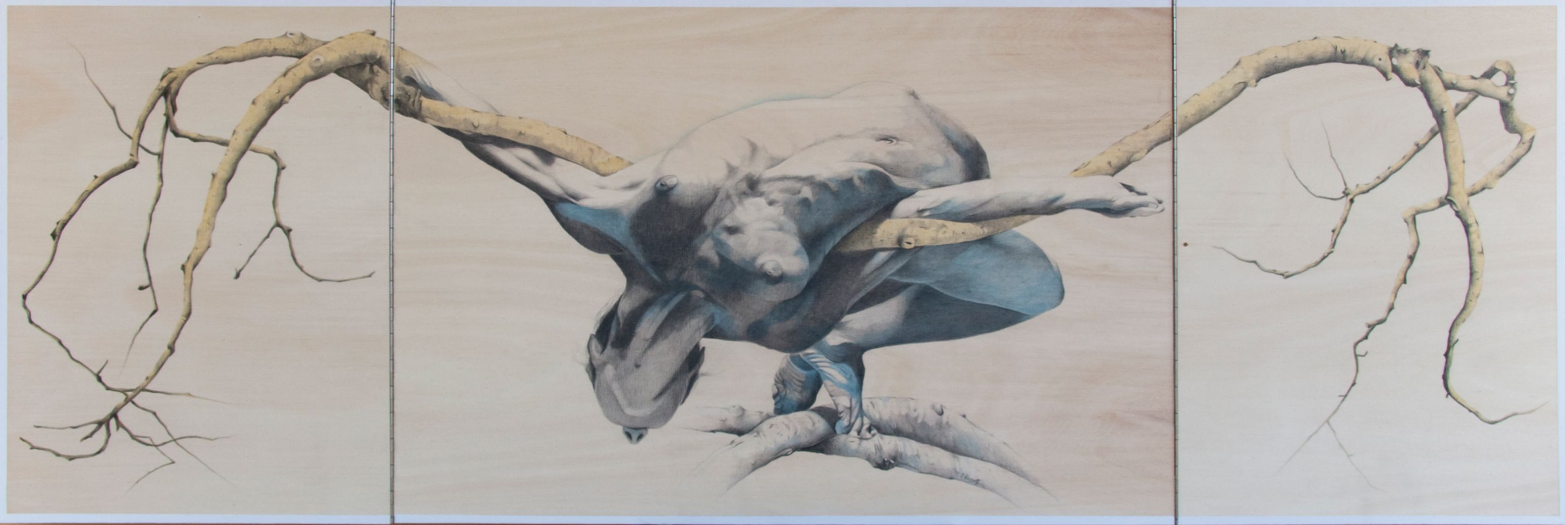 Paolo Rossetto | Equilibrio armonico