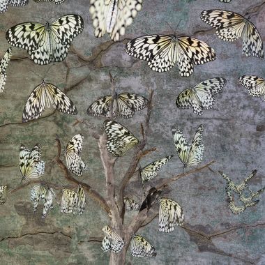 Paolo Vergnano | la lentezza del risveglio