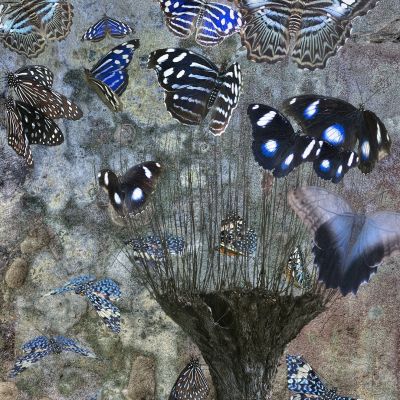 Paolo Vergnano | psyche, l’ultimo respiro