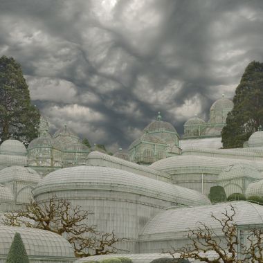 Patrick Van Der Elst | La serre