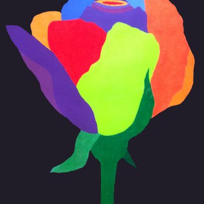 Renzo Michi | rosa arlecchino