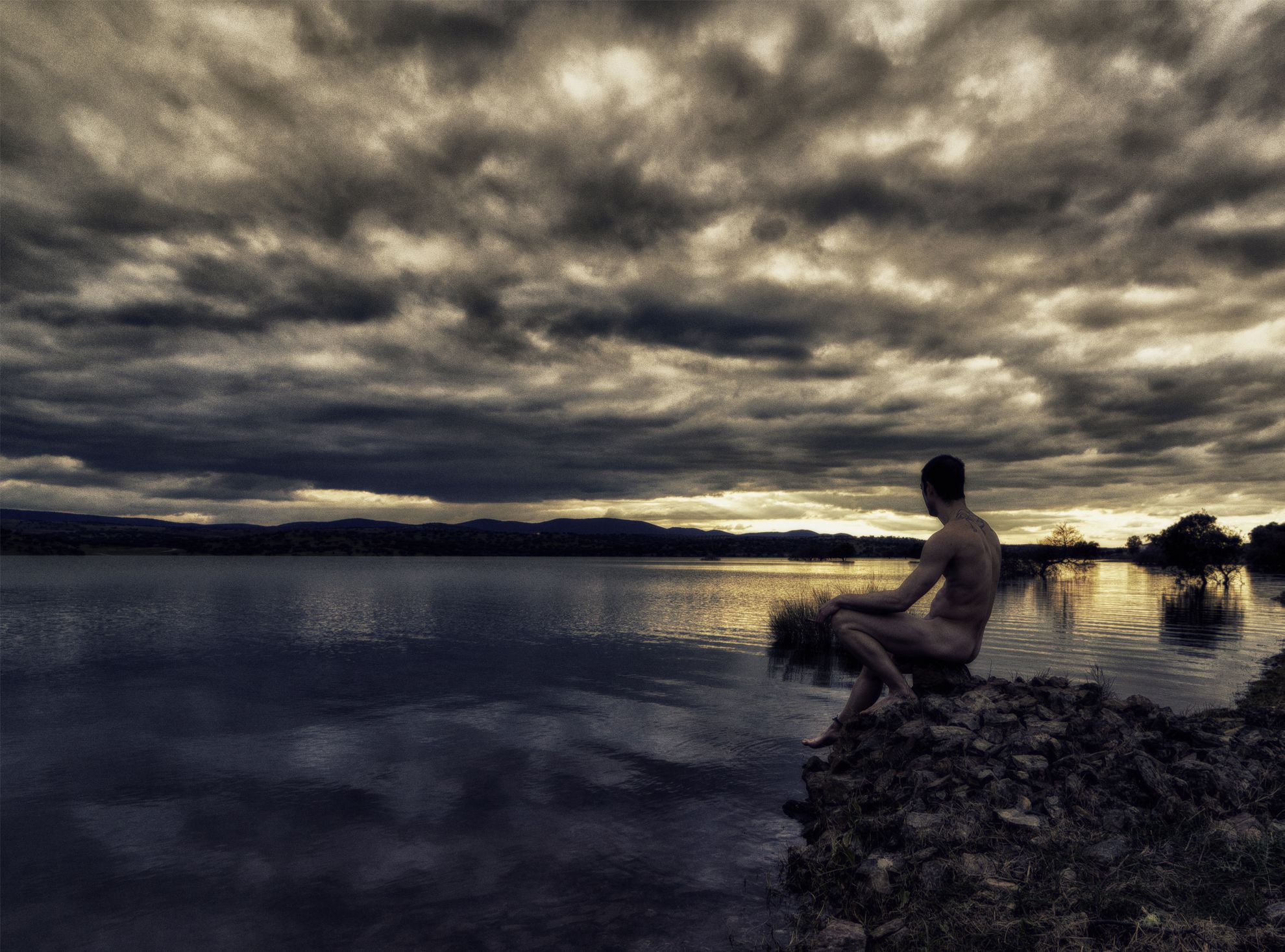 Reynolds Photography | Elements