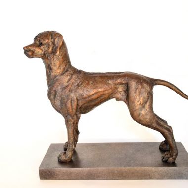 Roelof Stephen Rautenbach | ’Rhodesian Ridgeback’