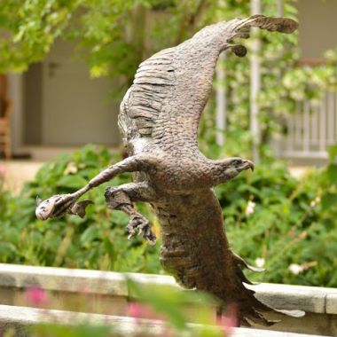 Roelof Stephen Rautenbach | ’Fish Eagle’ The Fish Eagle liberates Trout from its stream