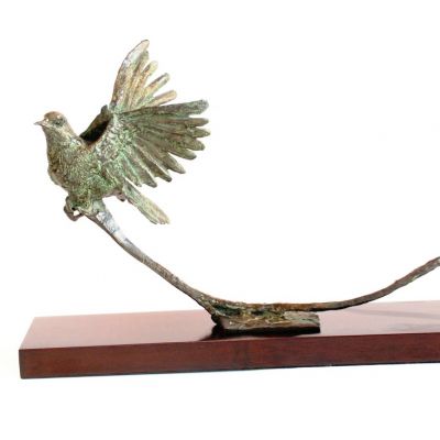 Roelof Stephen Rautenbach | 'Sartled Dove'