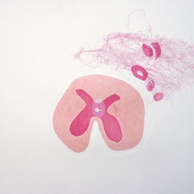 Sally Viganò | Fette di me