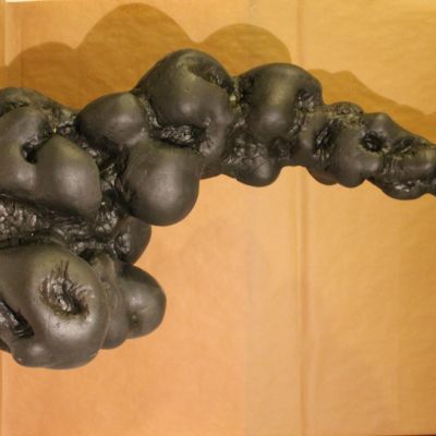 Selene Frosini | Organo