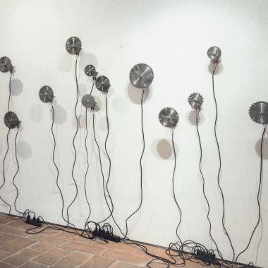 Silvia Giambrone | 8 novembre 2011