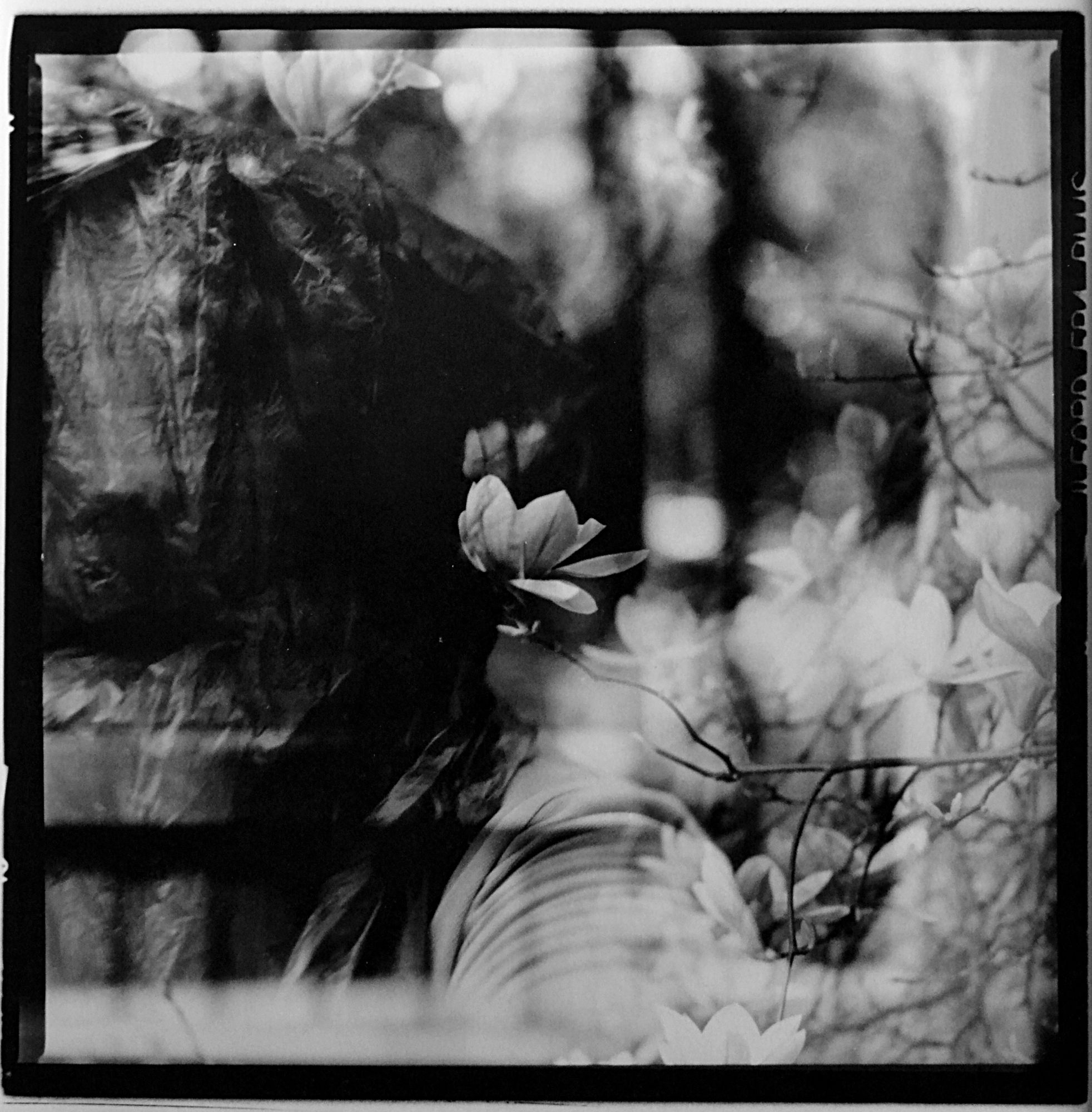 Stefano Mion | Senza Titolo