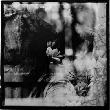 Stefano Mion | Senza Titolo