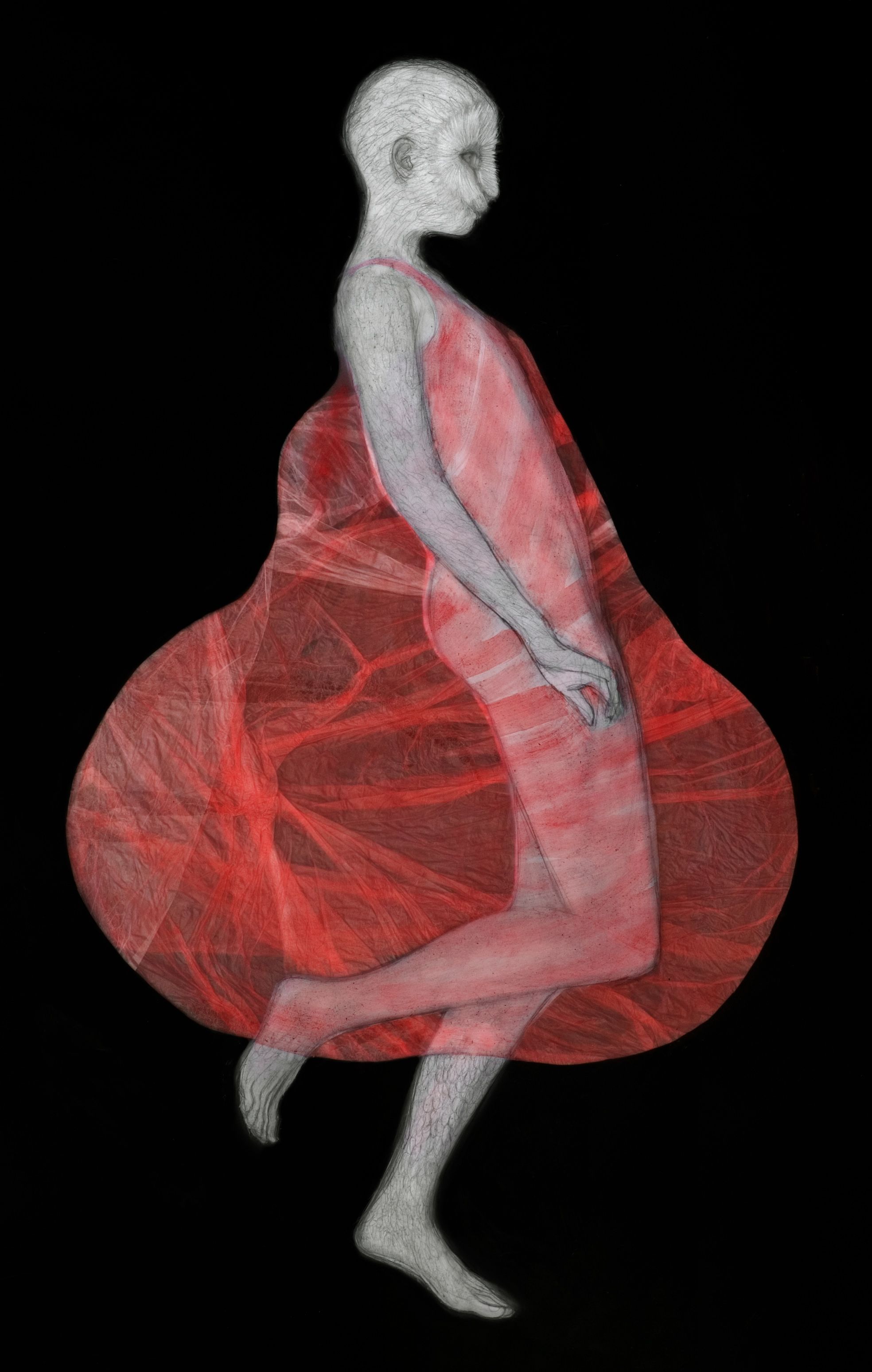 TIMORE | Danza del barbagianni