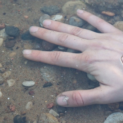  | Nerti - frame video