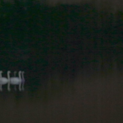  | Still from Nocturne
