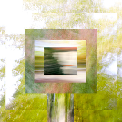  | Superficie composta - Arboreum