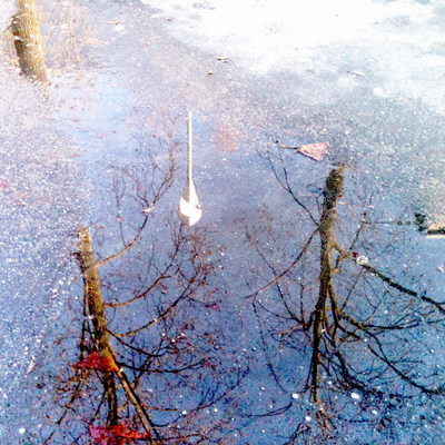  | Autunno