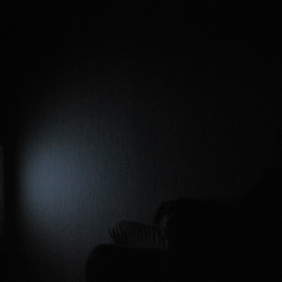  | The Anglerfish, 2013