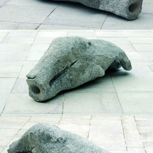  | terra fossile