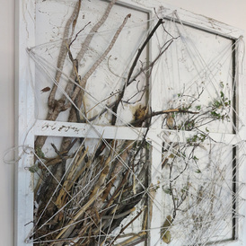  | Connections - Nature morte