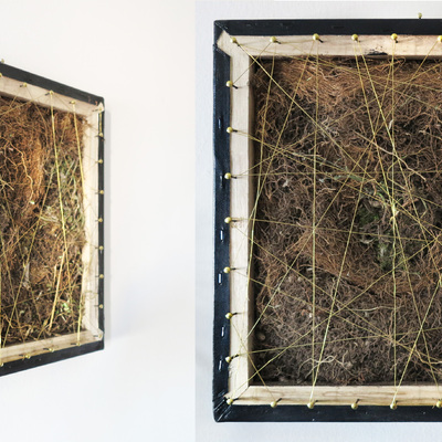  | Connections - Nature morte