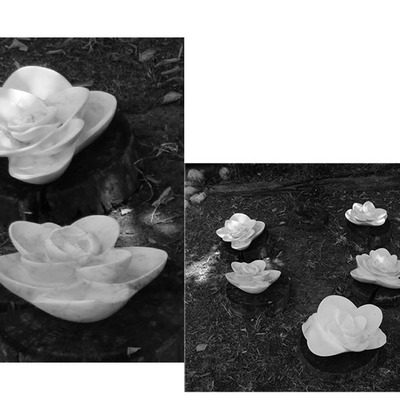  | giardino zen