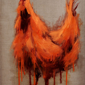  | Gallina cocincinese