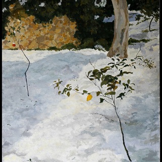  | Il limone con la Neve a / Funtani