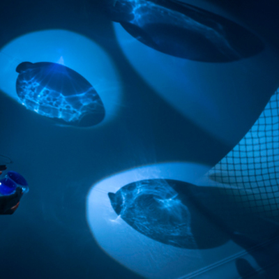  | Sea Drop (installation)
