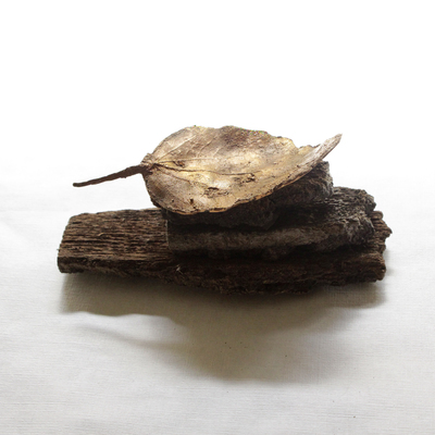 | (in)organico