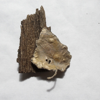  | (in)organico
