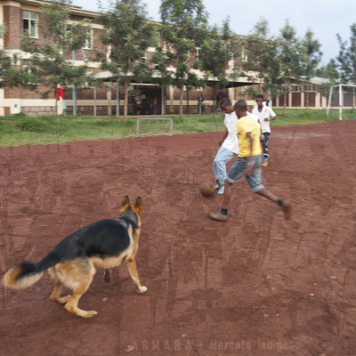  | ASMARA - Mercato indigeno