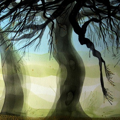  | winter trees