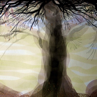  | winter trees