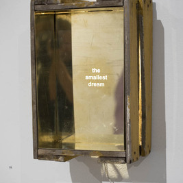  | The Smallest Dream, 2016