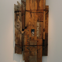  | Nest-Folia