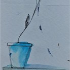  | Fiore e ape