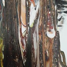  | Detail2