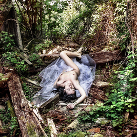  | Sleeping in the wood