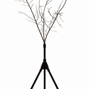  | Network tree