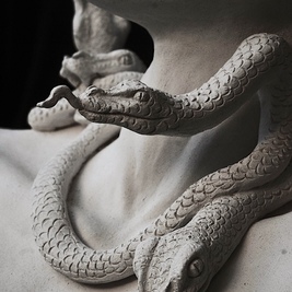  | Medusa
