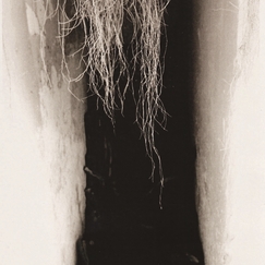  | Holocausto