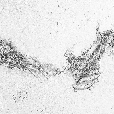  | Alghe spiaggiate-il giorno in cui mor&igrave; M.Pannella