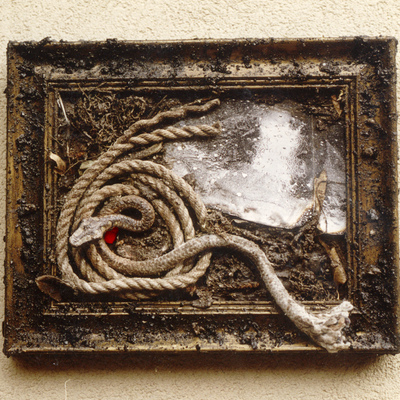  | Nel calore della decomposizione, Marte genera la visione del serpente.
