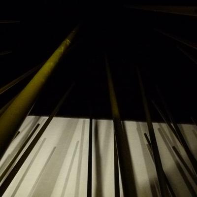  | Stadt Schilf (city reed)